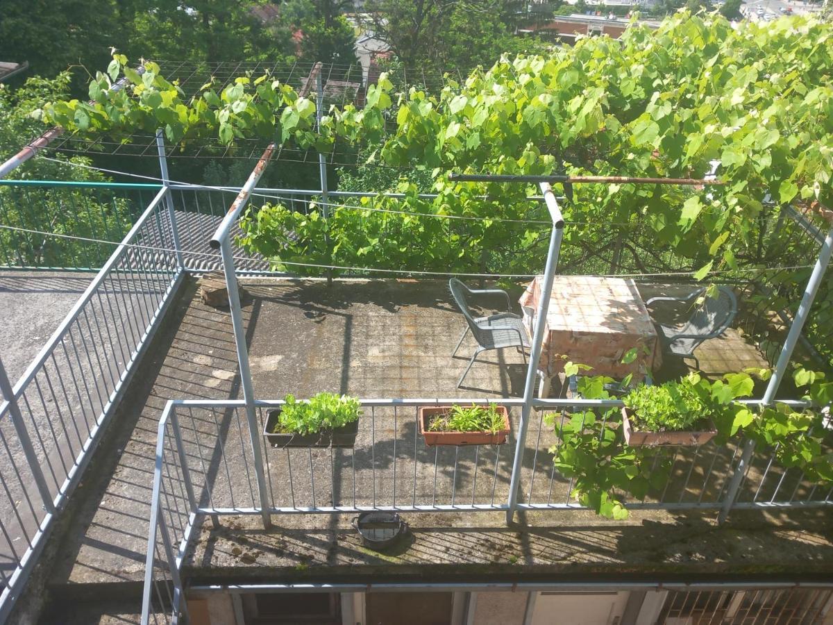 Apartmans Adi סראייבו מראה חיצוני תמונה